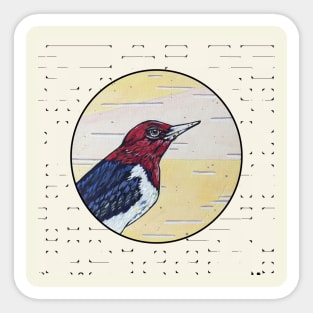 Red Headed Woodpecker on Birch Sticker